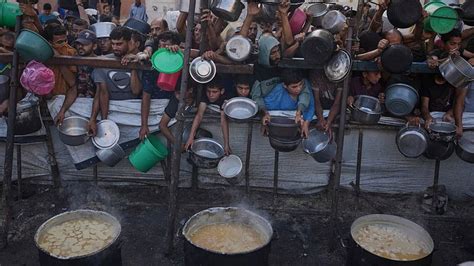 More than 100 organisations sound the alarm about imminent famine in Gaza