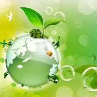 平台介绍-地球乐园之少年守护者，绿色公益，保护环境，保护地球