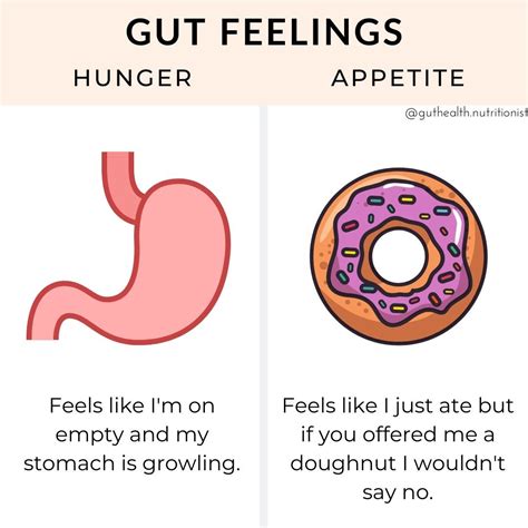 Get to Know Your Gut Feelings: Hunger & Appetite - Amanda Sauceda