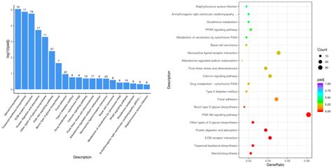 Leonurine Exerts Anti-Inflammatory Effects in Lipopolysaccharide (LPS ...