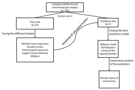 Prediction of the Gross Motor Function Measure-66 in Ambulant Children ...