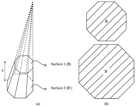Real-Time Size and Mass Estimation of Slender Axi-Symmetric Fruit ...