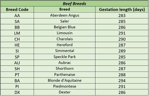 What Is the Average Gestation of a Beef Cow - Silva Nisquity