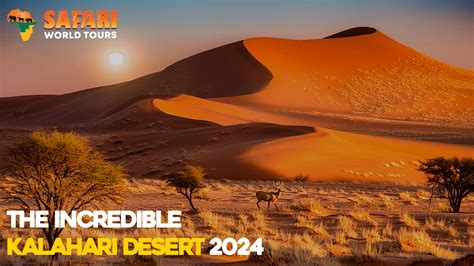 The Incredible Kalahari Desert South Africa 2024