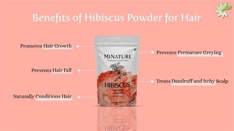 How Does Hibiscus Powder Boost Hair Growth? – minaturewellness