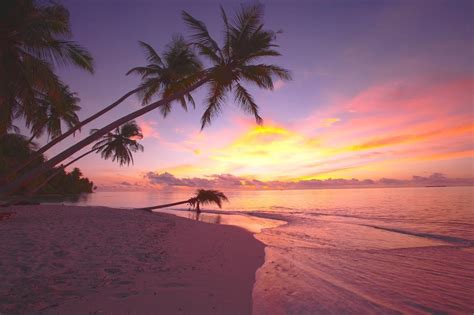 Maldives Receives Safe Travels Stamp from WTTC