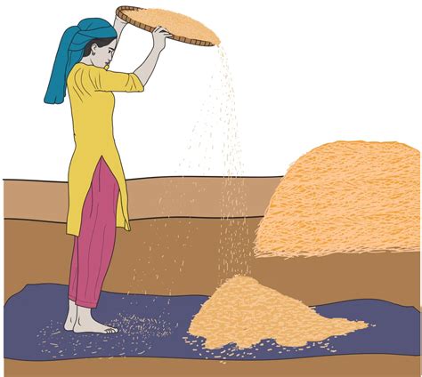 चित्र आधारित प्रश्न: दैनिक जीवन में पृथक्करण के तरीके - Class 6 PDF ...