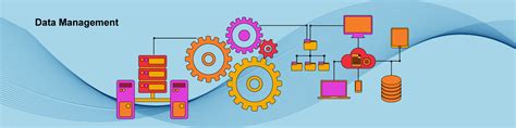 Best Master Data Management Solutions | Data Governance Experts- PiLog