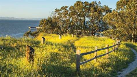 Point Pinole Regional Shoreline | East Bay Parks