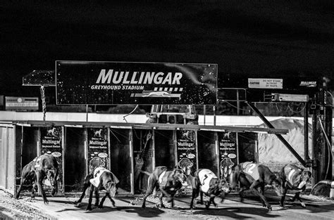 MULLINGAR GREYHOUND STADIUM - All You Need to Know BEFORE You Go 2026 ...