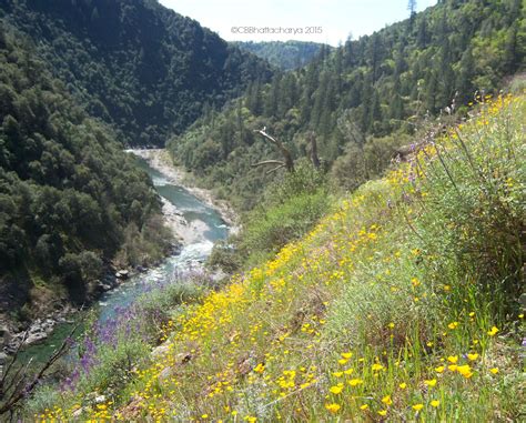 Stevens Trail – Colfax, CA | She Hikes It!