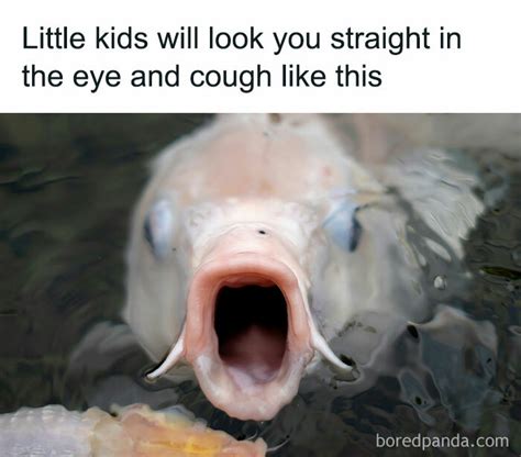 Random Fun 的图像结果