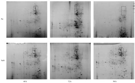Proteomics Analysis to Explore the Resistance Genes of Silkworm to ...