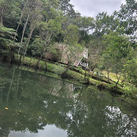 PARQUE NATURAL MUNICIPAL FRANCISCO AFFONSO DE MELLO - All You Need to ...
