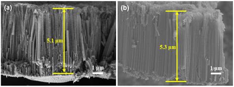 A Dual-Function TiO2@CoOx Photocatalytic Fuel Cell for Sustainable ...