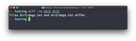 Unix Command Diff Commands 的图像结果