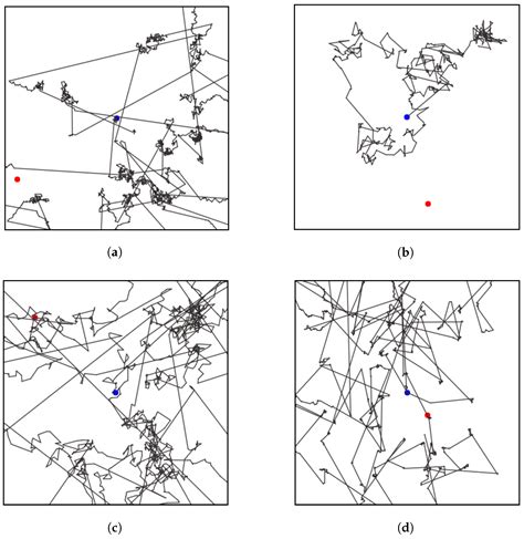 Phase-Type Distributions of Animal Trajectories with Random Walks