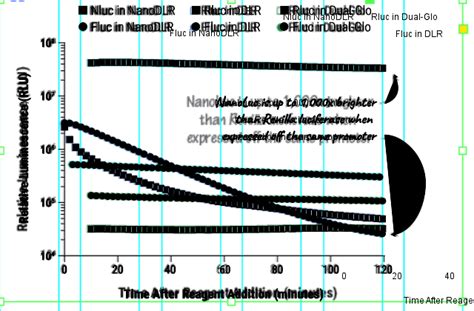 Nano-Glo® Dual-Luciferase® Reporter Assay System | Next-Gen Dual ...