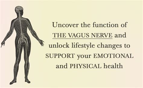 The Nervous System Reset: Overcome Pain, Trauma and Stress Using Your ...
