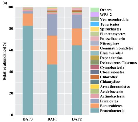 The Treatment of Aquaculture Wastewater with Biological Aerated Filters ...