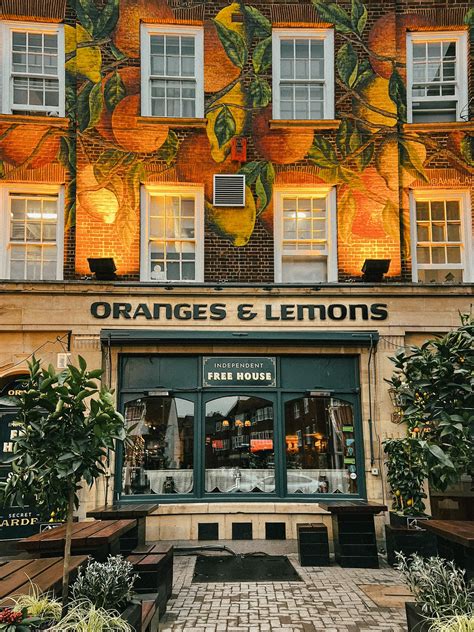 The Oranges & Lemons - OX4