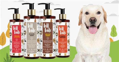 Long-Term Benefits of Herbal Dog Shampoo | Telltails