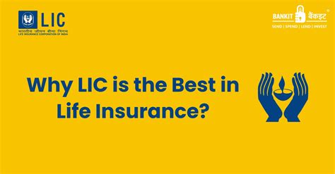 Unveiling the Secrets: Choosing the Best LIC Plan