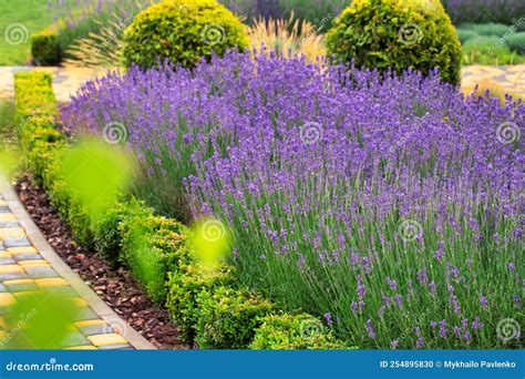 Flower Beds Near House at Mackenzie Boehm blog