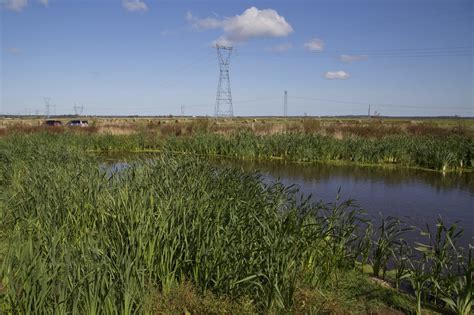 Agriculture programs – Ducks Unlimited Canada | Conservation Easements ...