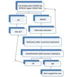 Hepatosplenic T Cell Lymphoma - howitreat.in