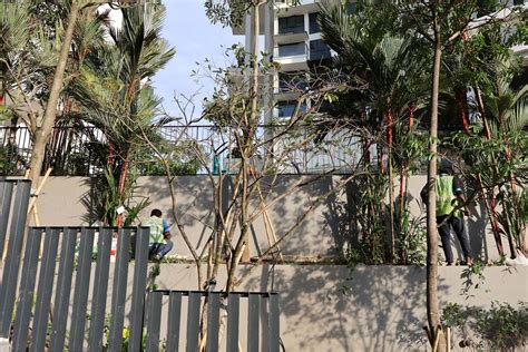 A Look at Singapore: The Green-Branded City-State | global-e journal