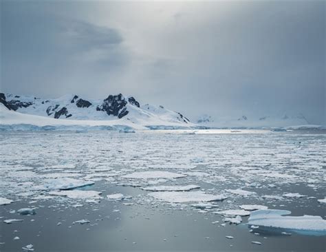 Bioenergy Picture Example 的图像结果