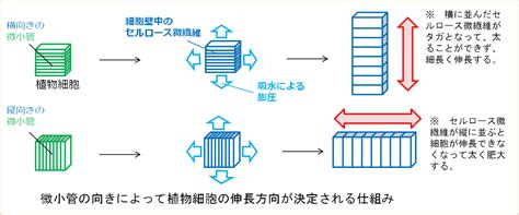 Image result for Example of Java API