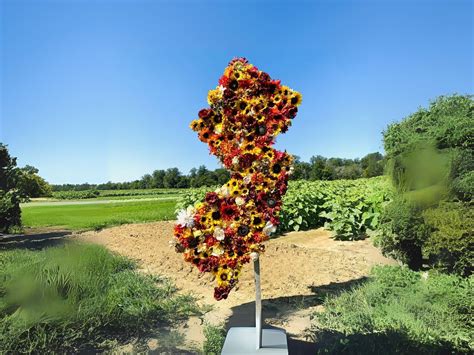 Frank & Charlie at Holland Ridge Farms Fall Flower Festival, Holland ...