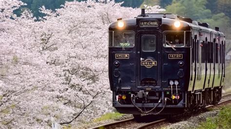 Local Train Japan 的图像结果