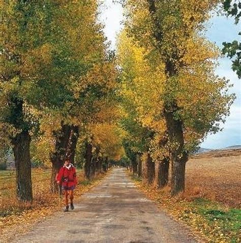 10 Mejores Circuitos por el Camino De Santiago 2025/2026 - TourRadar