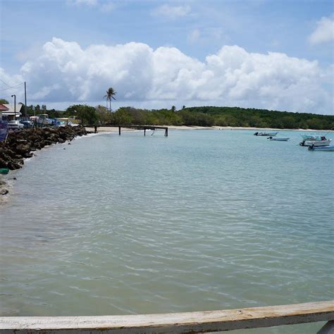 BUCCOO REEF (2024) All You Need to Know BEFORE You Go (with Photos ...