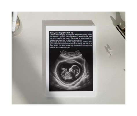 How Is Baby Forms Step by Step 的图像结果