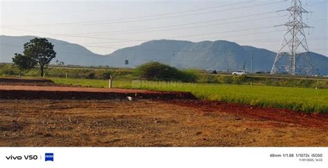 Residential 1467 Sqft Plot for sale at Nunna, | Property ID - 18740515