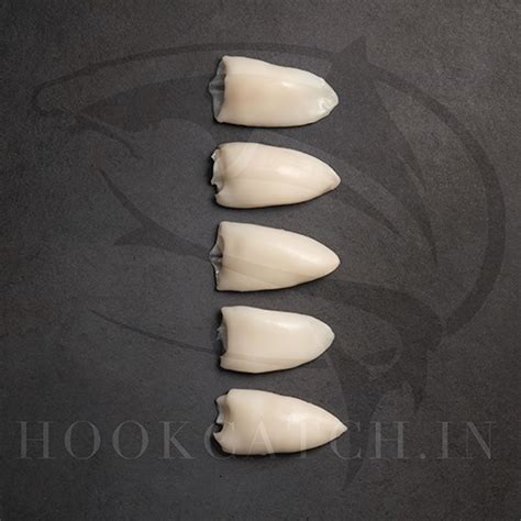 Order Frozen Raw Squid Online | Premium Ring & Tube Squid | Hook Catch