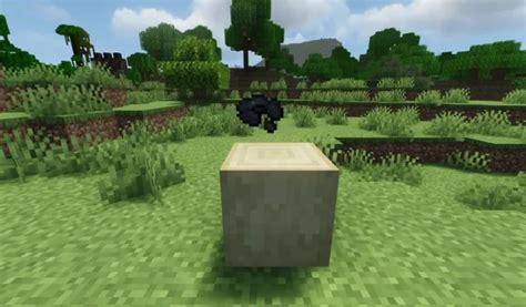 Image result for Minecraft Disc 11