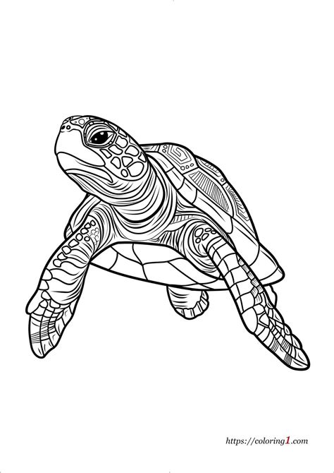 Image result for Turtle with Gun Coloring Pages Printable