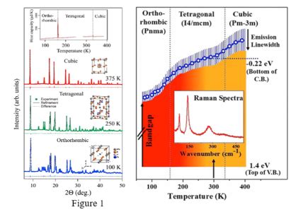 Welcome to Dinesh Topwal's Research Group - Institute of Physics ...