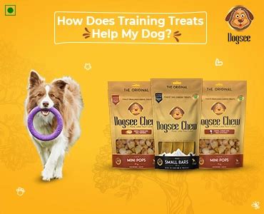 How Does Training Treats Help My Dog? | Dogsee Chew