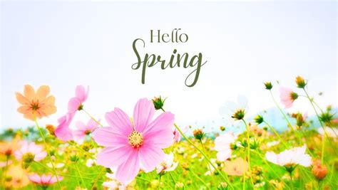 Spring Mini Sessions, Discover Nutrition, Olivia, 11 May 2024 ...