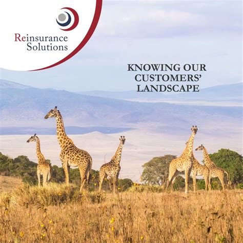 Image result for Resolution Insurance Kenya