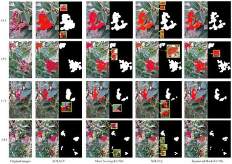Segmentation Method of Zanthoxylum bungeanum Cluster Based on Improved ...