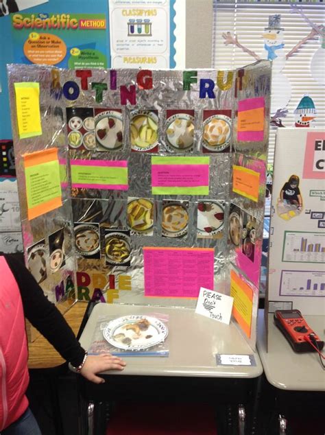 4th Graders Science Fair 的图像结果