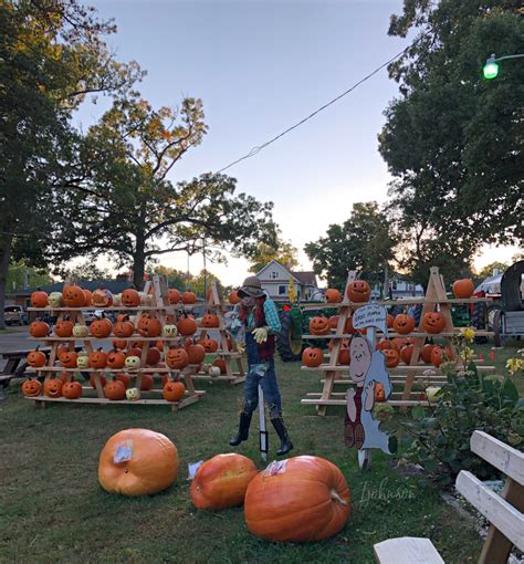 The Hillsdale County Fair Is A 171 Year Tradition - The Coddiwomplist