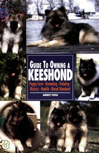 Buy Guide to Owning an Keeshond: Puppy Care, Grooming, Training ...
